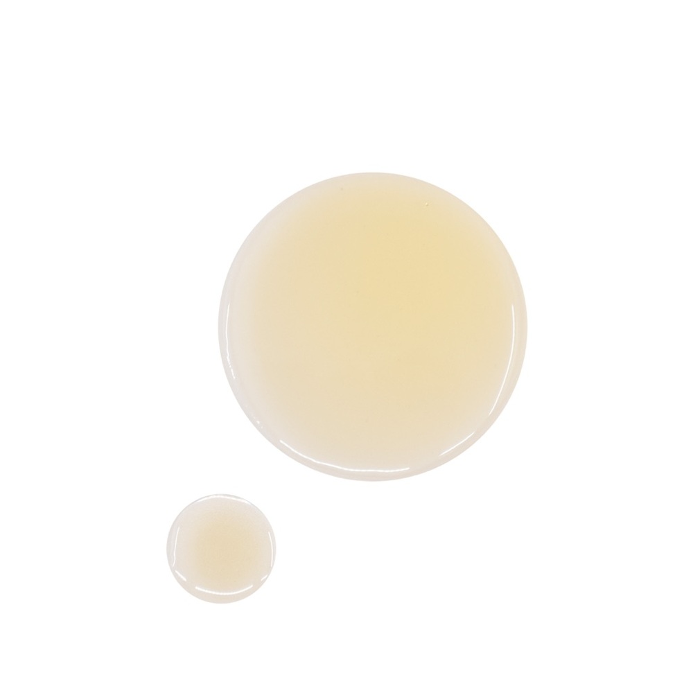 OSEA Undaria Algae Body Oil Travel Size - Picture 3 of 9